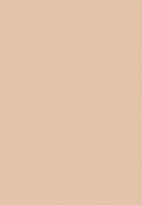 Пудра компактная Zeesea