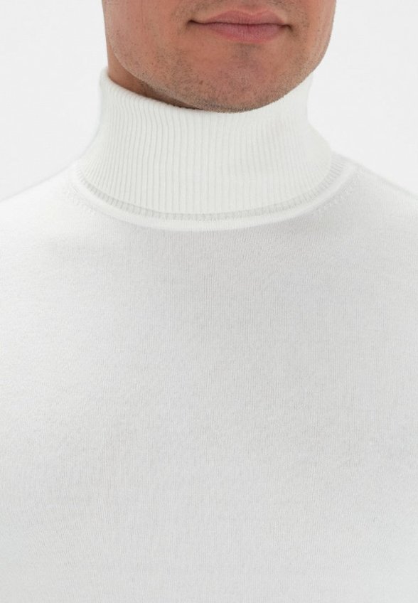 Водолазка Thomas Berger