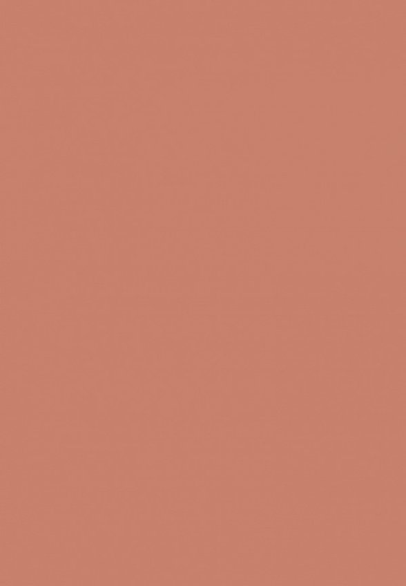 Бальзам оттеночный для губ Influence Beauty