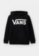 Худи Vans1  - превью