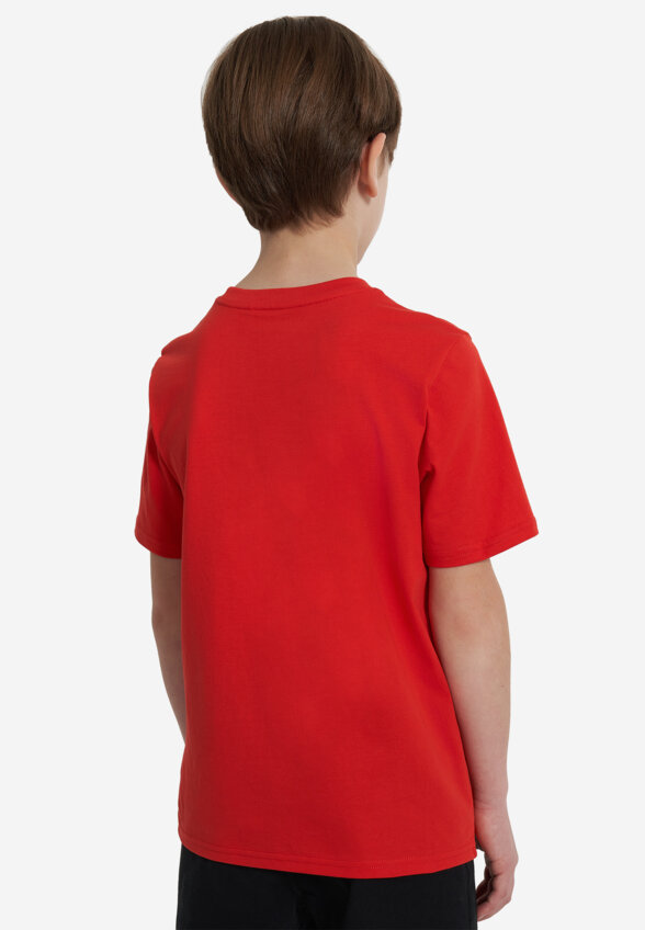 Футболка для мальчиков Demix, Красный