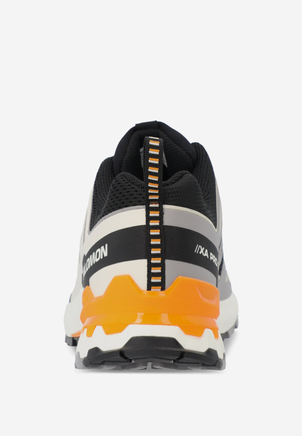 Кроссовки мужские Salomon XA Pro 3 D V9, Черный