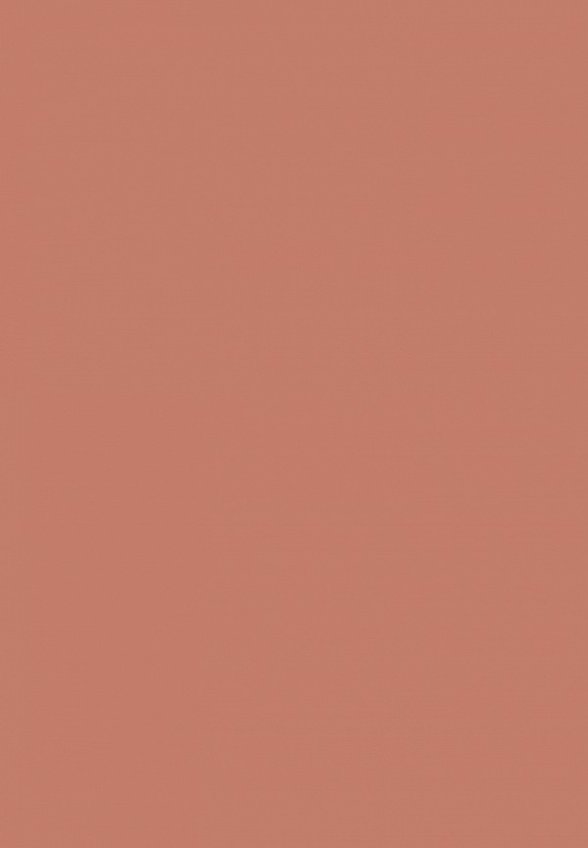 Блеск для губ Ninelle