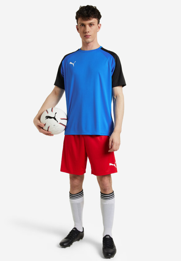 Шорты мужские PUMA teamLIGA, Красный