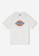 Футболка мужская DICKIES Icon, Белый1  - превью