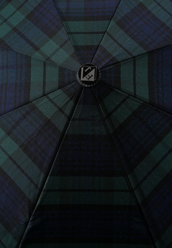 Зонт складной Flioraj