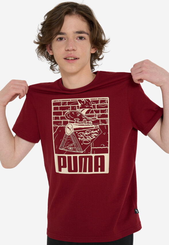 Футболка для мальчиков PUMA ESS+ Mid 90s Graphic, Красный