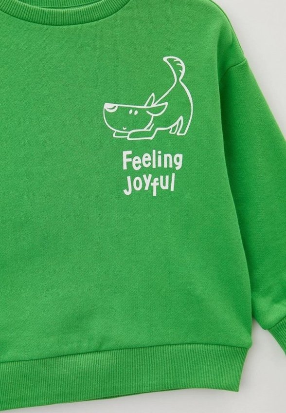 Свитшот Acoola