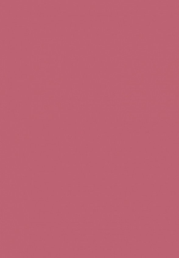 Помада Influence Beauty