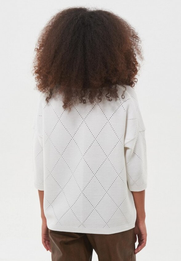 Пуловер Стим