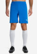 Шорты мужские PUMA Teamrise, Голубой2  - превью