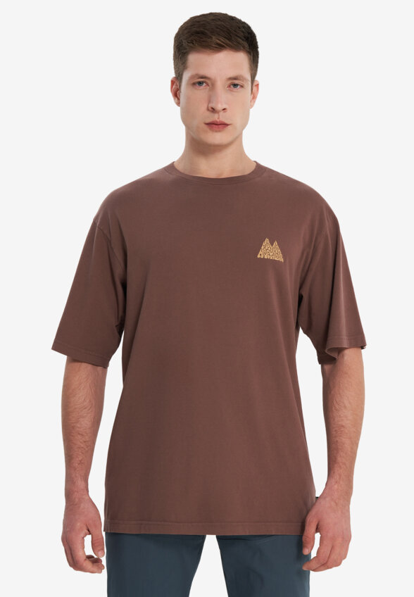 Футболка мужская Mountain Hardwear Mountains Collab Short Sleeve, Коричневый