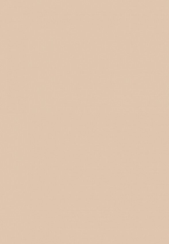 Пудра компактная Deborah