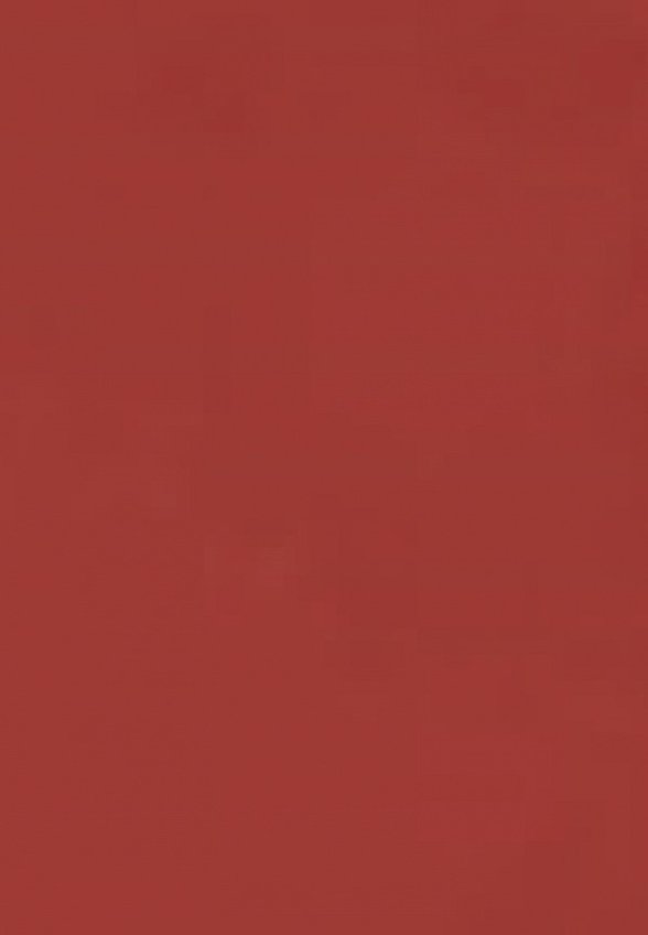 Тинт для губ Focallure