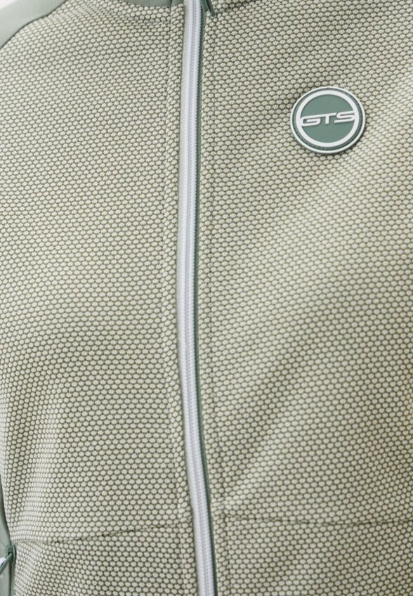 Олимпийка GTS