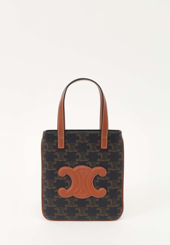 Celine Triomphe Canvas