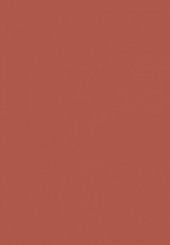 Бальзам оттеночный для губ Clarins