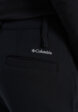 Брюки женские Columbia Back Beauty Warm Softshell Pant, Черный6  - превью