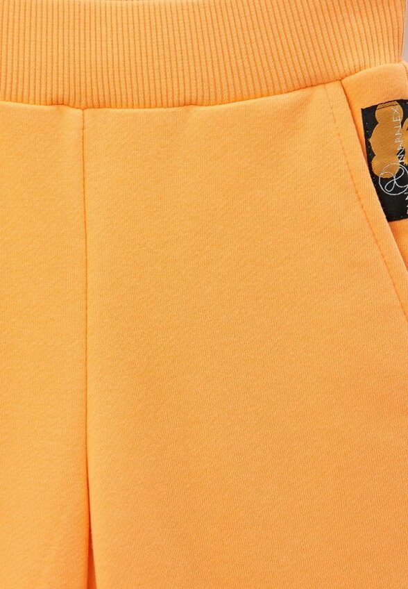 Брюки спортивные DanMaralex