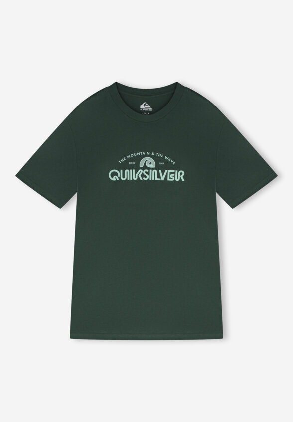 Футболка мужская Quiksilver Ev Vista, Зеленый
