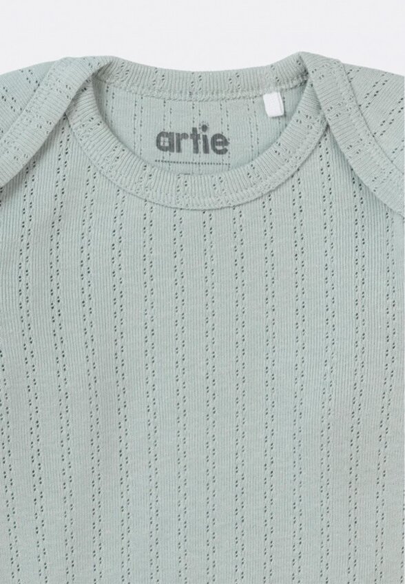 Боди 2 шт. Artie