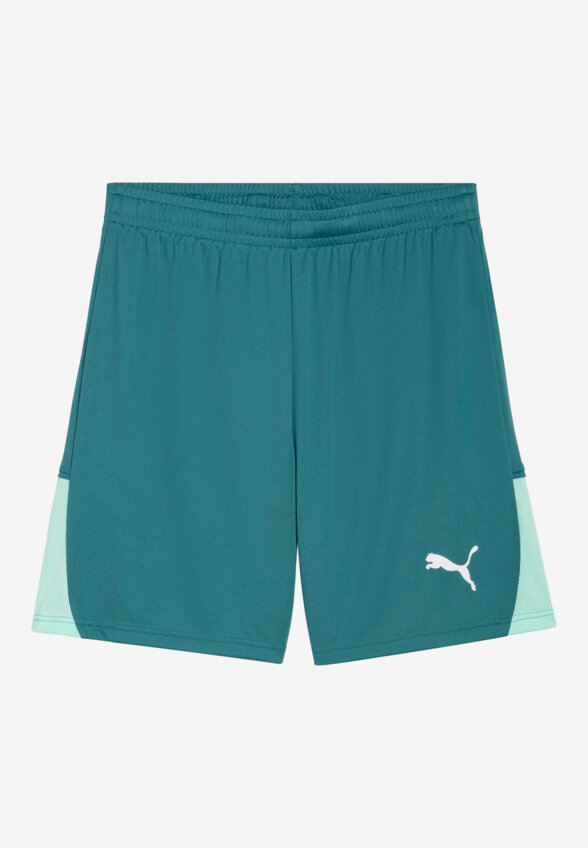 Шорты мужские PUMA Teamliga26, Зеленый