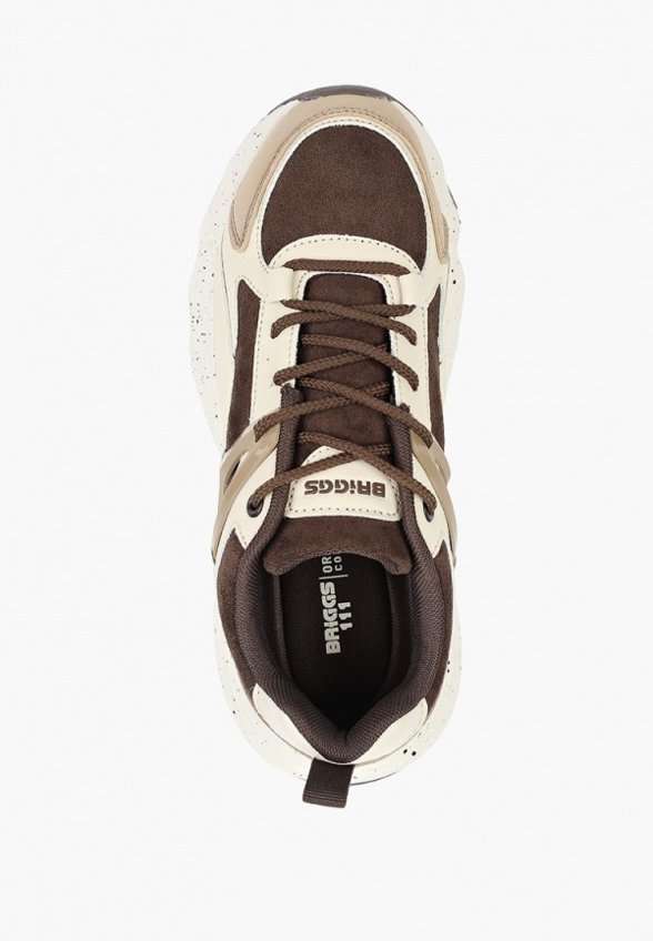 Кроссовки Briggs