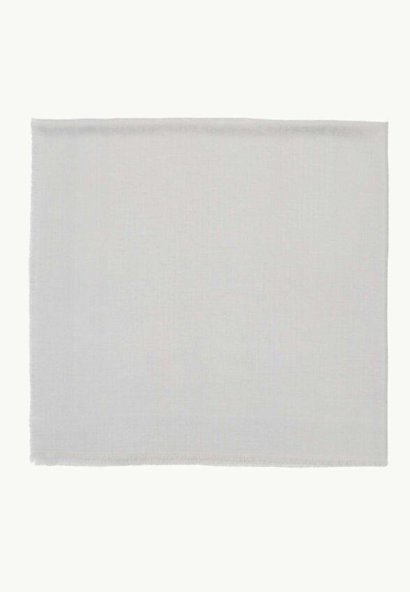 Dior Silk Scarf