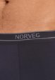 Трусы Norveg6  - превью