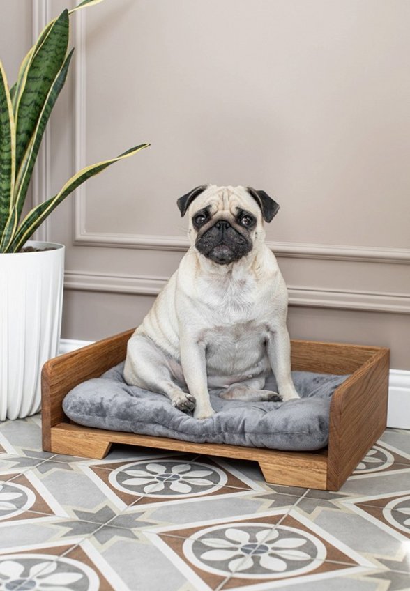 Лежак для животных Фоксвудрус