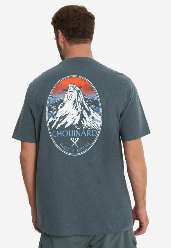 Футболка мужская Patagonia Chouinard Crest, Зеленый