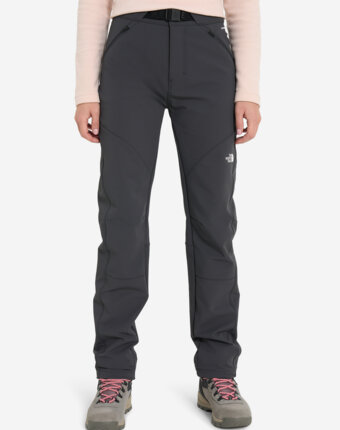 Брюки женские The North Face Diablo Reg, Серый женщинам