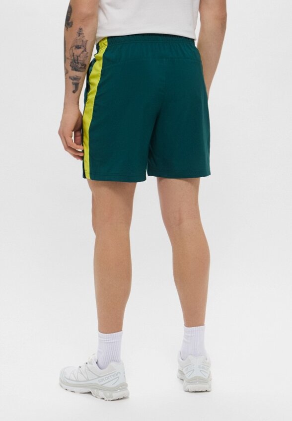 Шорты спортивные The North Face