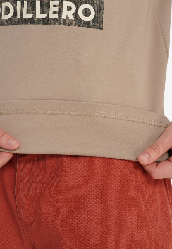 Футболка мужская оверсайз Cordillero, Коричневый