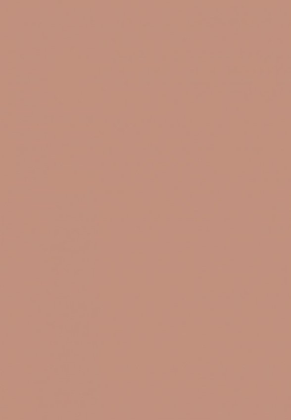 Кушон для лица Limoni