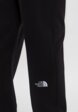 Брюки спортивные The North Face5  - превью