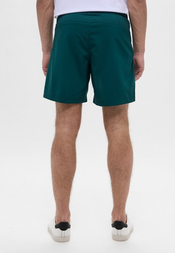 Шорты спортивные The North Face