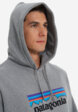 Худи мужское Patagonia Logo Uprisal, Серый5  - превью