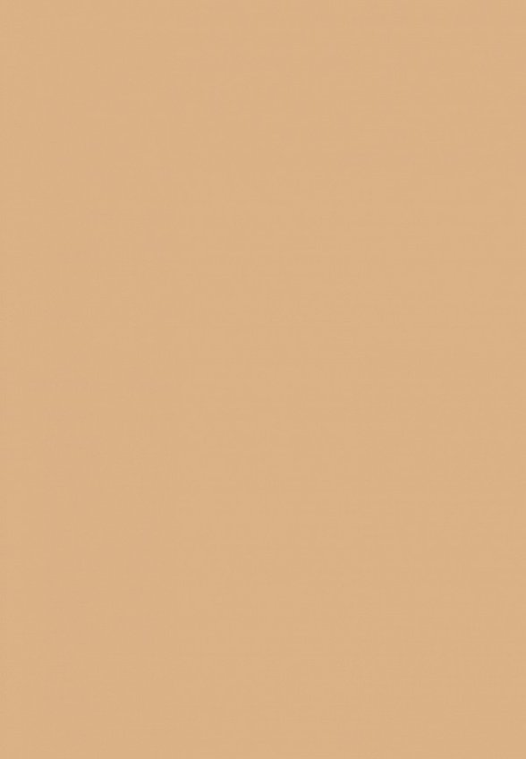 Пудра компактная Clinique