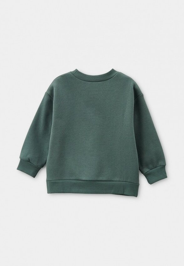 Свитшот Pelican