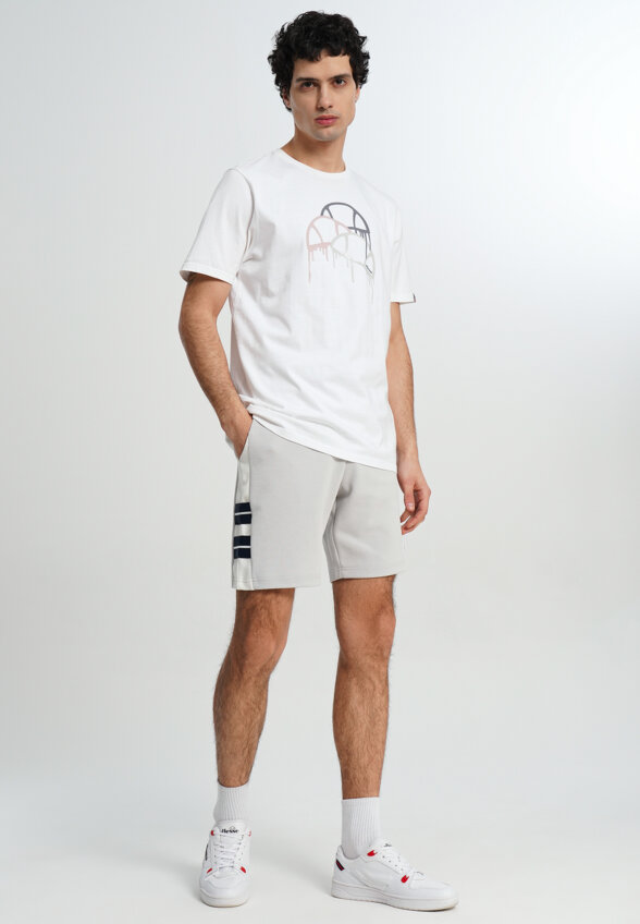 Шорты мужские Ellesse, Серый